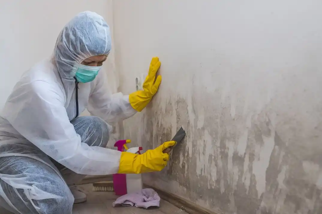 water damage restoration service North Star West